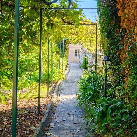 Propriété Muraccioli 2 - Maison Avec Piscine Vue * Beausoleil